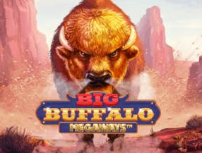 game logo by Skywind Group on wolfscasino.at