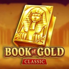 game logo by Playson on wolfscasino.at